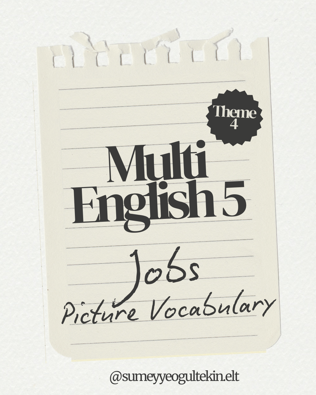 Multi English 5 - Theme 4 Jobs (Picture Vocabulary)
